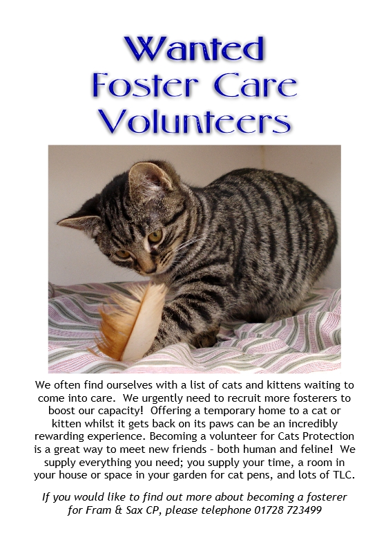 Fosterers Wanted